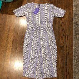 NWT Seraphine Maternity Dress